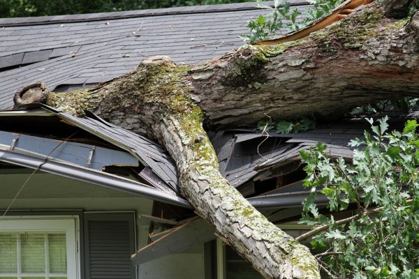 Storm Remediation in Trenton