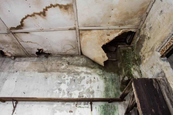 Water Damage Service in Trenton