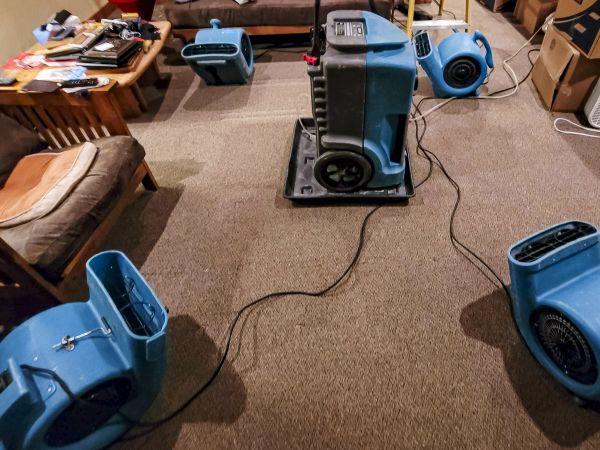 Flood Damage Recovery in Trenton
