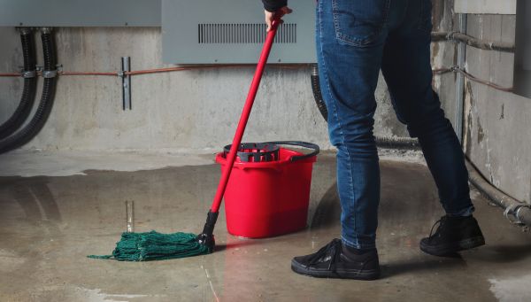 Flooded Basement Cleanup in Trenton