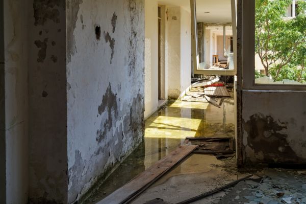 Water Removal Service in Trenton