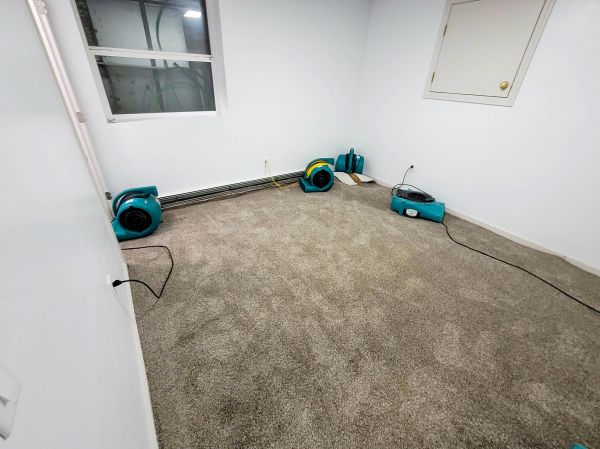 Flood Restoration Service in Trenton