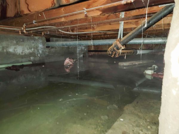 Water Mitigation Service in Trenton