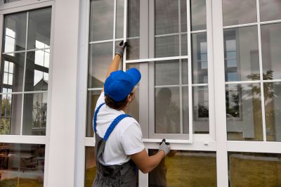 Window and Door Repair